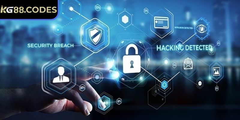 Chi tiết nội dung trong điều khoản tại nhà cái